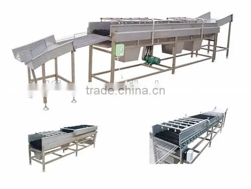 Hot Sale Easy Operation Potato Washing Machine photo-2