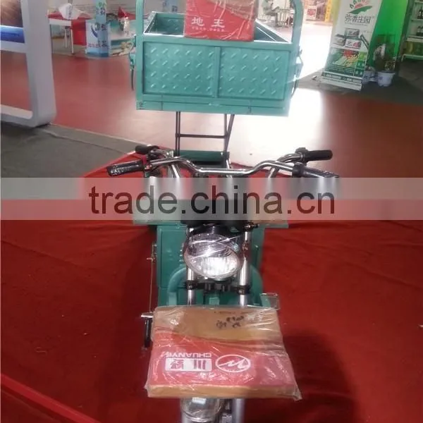 650W Farming Electric Cargo Box Tricycle for Orchard Grove photo-4