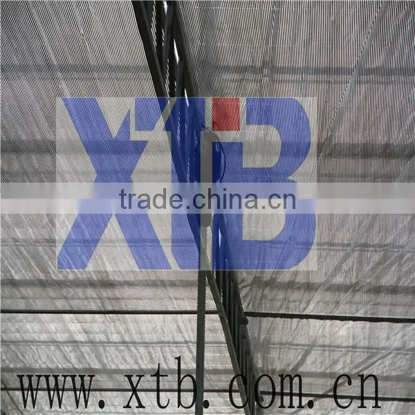 Commercial Greenhouse for Agriculture photo-2