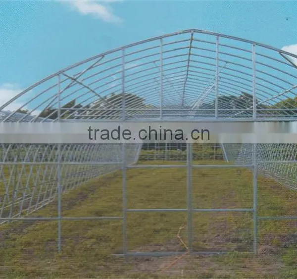 Hot Sale New Tunnel Greenhouse for Mushroom Growing photo-2