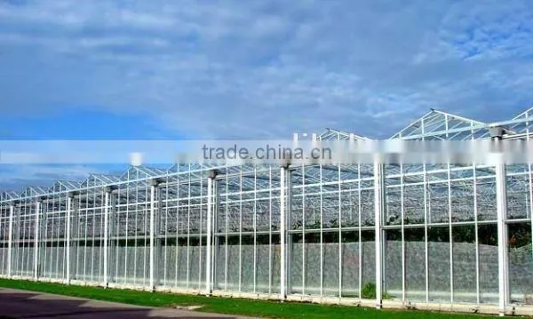 China Greenhouse photo-2