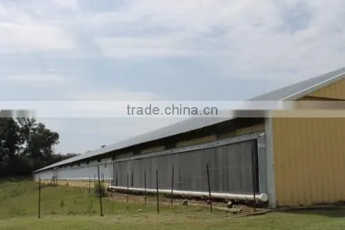 China DFX Cheap Poultry Farming Prefabricated Industrial Chicken House photo-4