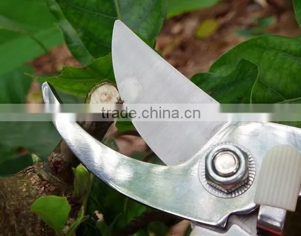 Steel Pruning Tools Garden Hand Prunner photo-4