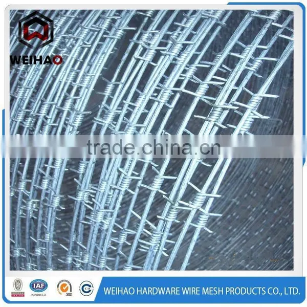 High Quality Galvanized Twist Barbed Wire photo-2