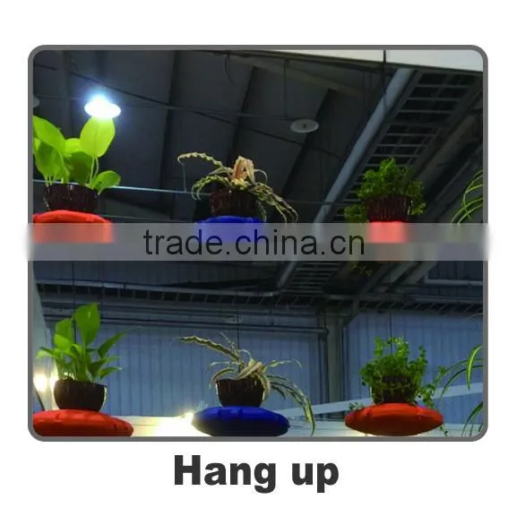 Assemble Floating Island photo-4