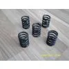 Valve Spring