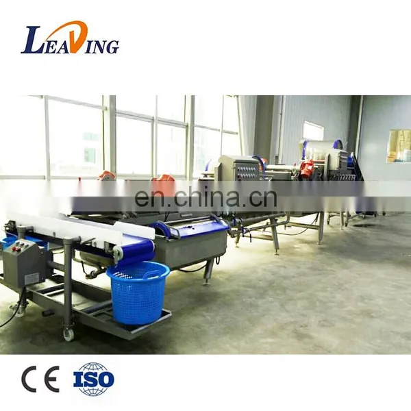 Eggplant Citrus Fruit Washing and Grading Machine photo-2