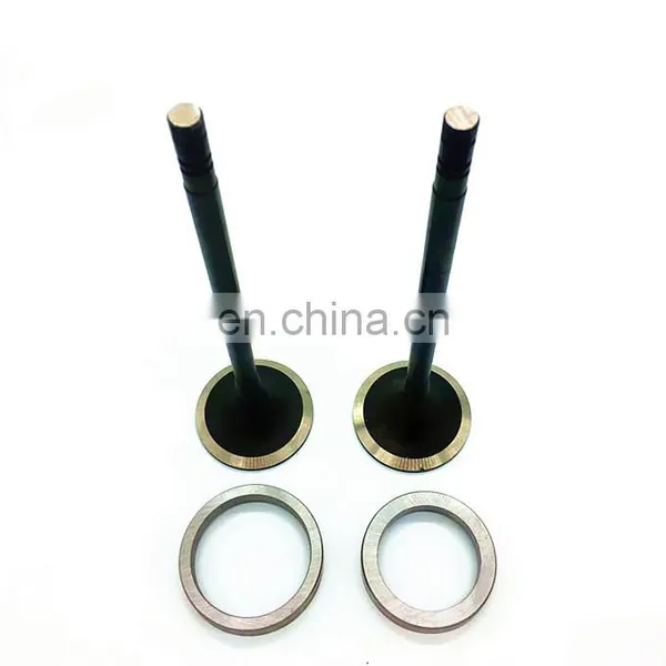 Diesel Parts Tractor For MWM Deutz TCD 2.9 2013 2011 Fl914 Fl912 1003 1005 2015 Intake Exhaust Engine Valve Guide Seat Insert photo-4