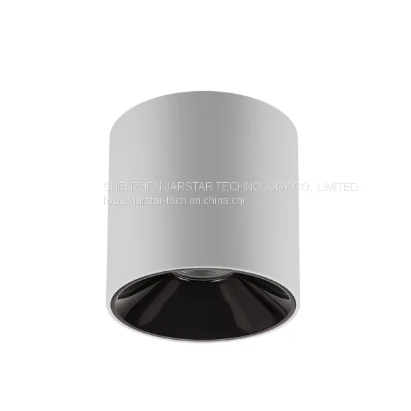 LED Surface Mounted Downlight SME Series Waterproof LED Downlight for Sale Surface Mounted Downlight Price photo-2