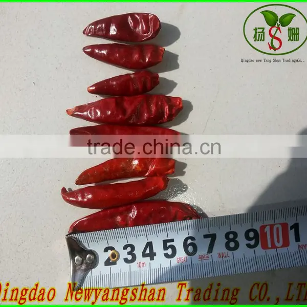 (HOT)small Hot Chili/hot Chilli Pepper/chaotian Chilli photo-4
