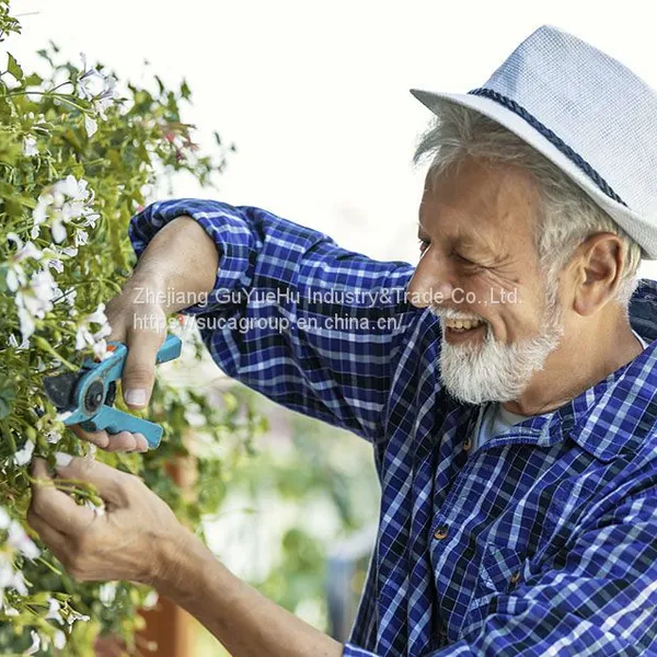 Electric Pruning Shears Types