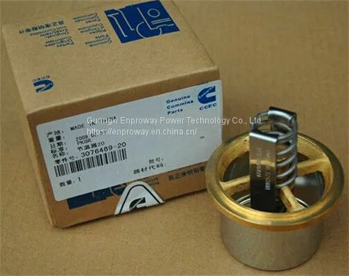 Cummins Diesel Engine Parts Thermostat 3076489 K19