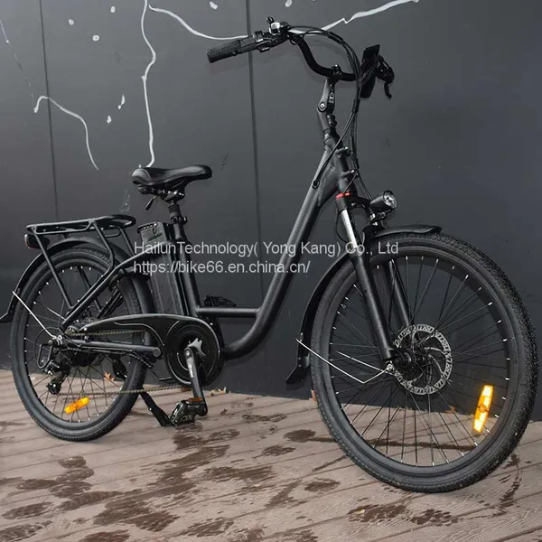 Super Cool Aluminiun Mountain Portable Electric Bicycle With Lithium Battery photo-3