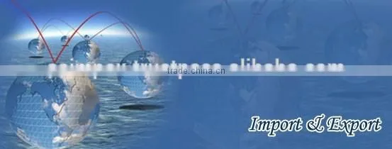 Import Export Agents in Mumbai India Import Export SERVICE Import Export COMPANY IN INDIA photo-5