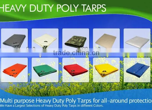 Laminated Tarpaulin PVC Car Sheds/Parking Sheds/School Sheds photo-5