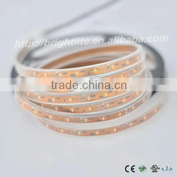 SMD Led Flexible Strip Light Led 3014 Waterproof IP67 IP68 Warm White 60LED UL Certificate Led Strip Light photo-6