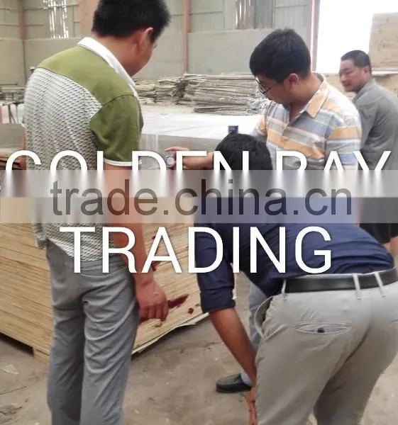 Marine Plywood/shuttering Plywood/Film Faced Plywood DANUBE CNBM CPLEX photo-6
