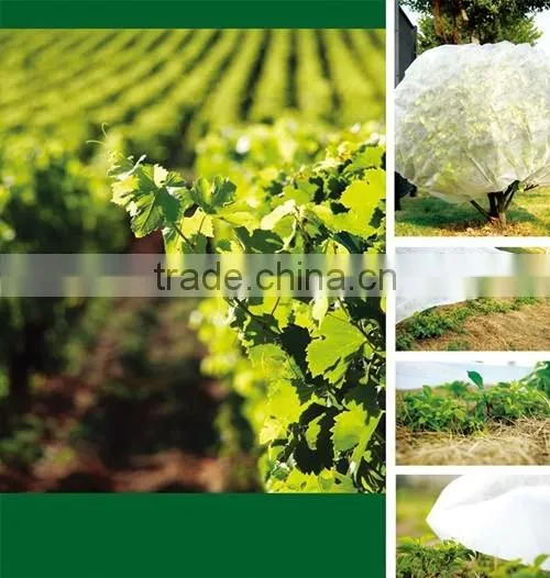 For Protecting the Plants China Supplier Biodegradable Agriculture PP Protective Cover Film for Protecting the Plants photo-4