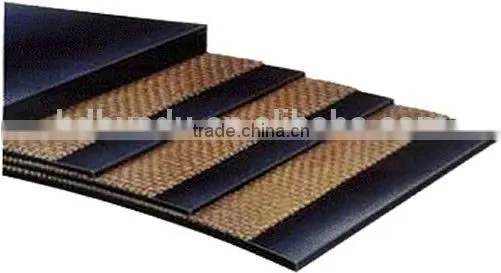 Acid and Alkali Resistant Conveyor Belt photo-3