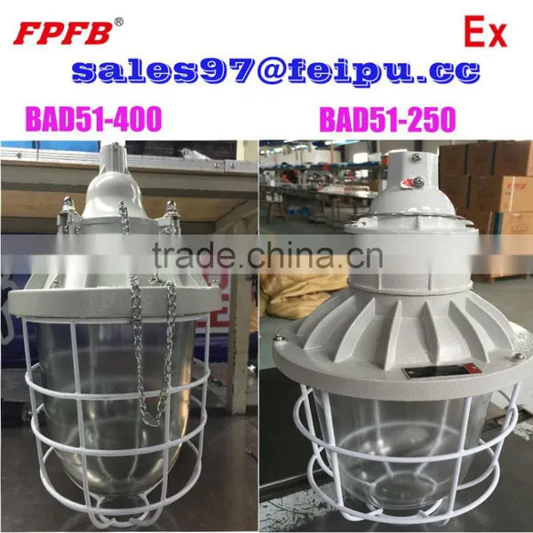 BAD51 400W Flameproof Explosion-proof Bulb Explosion Proof Lamp for Onshore Hazardous Location photo-2