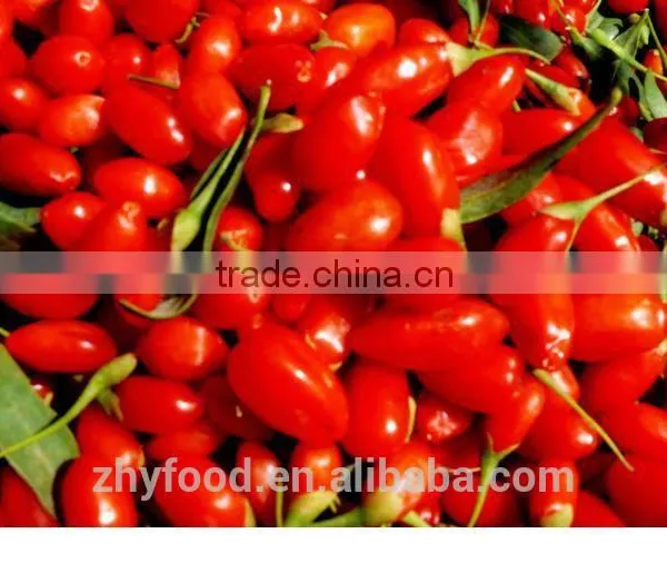 Chinese Dried Wolfberry photo-4