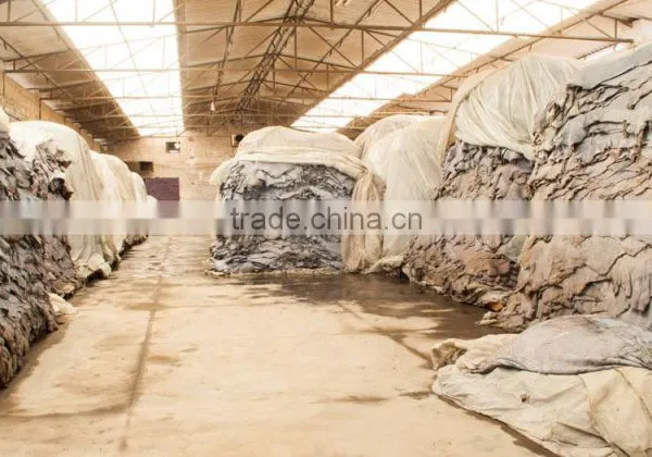 Pakistan Produces Buff Hunter Leather