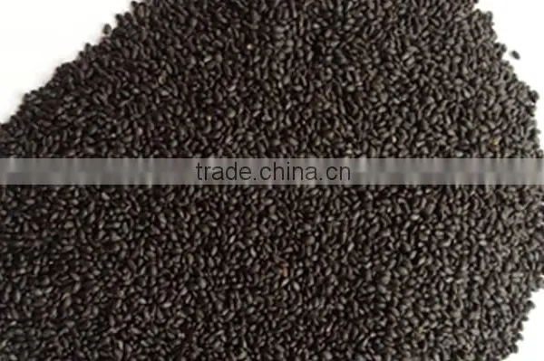 Basil Seeds,sweet Basil Seed,basil Seeds for Sale