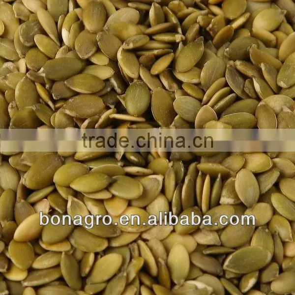 Pumpkin Seeds Kernels