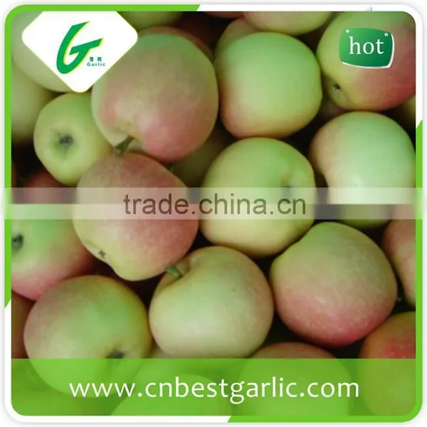 Chinese Grade A Fresh Royal Gala Apple photo-2