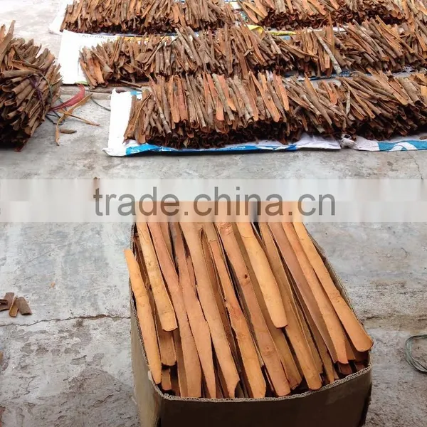 SPLIT CASSIA HIGH STANDARD photo-6