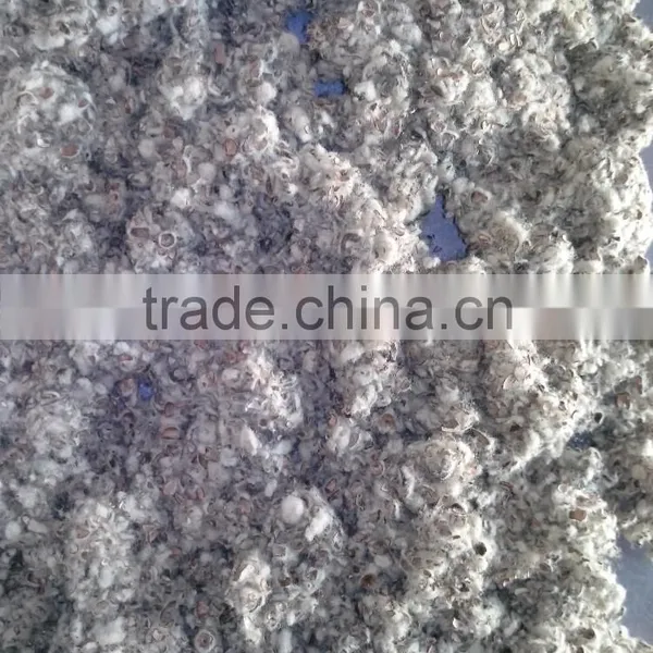 Cotton Seed Hull photo-2