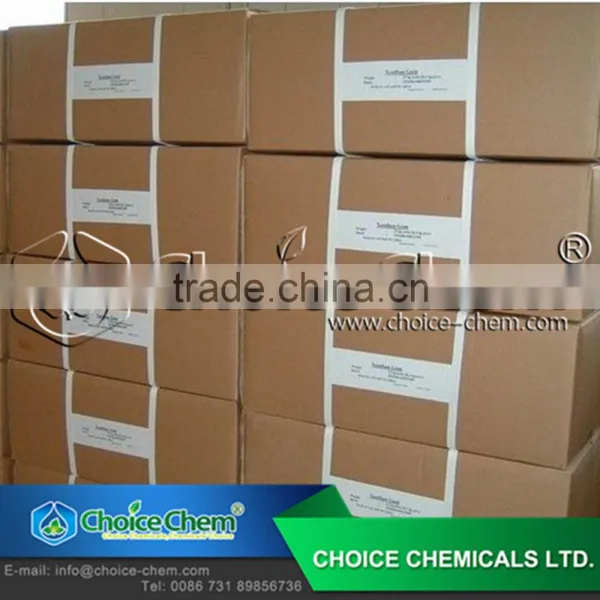 Wholesale hs Code 3913900000 Food Additive Powder Xanthan Gum photo-6