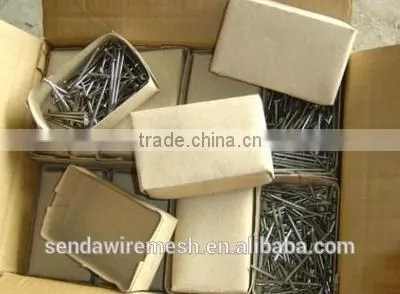 Common Nails/roofing Nails /iron Nails photo-3