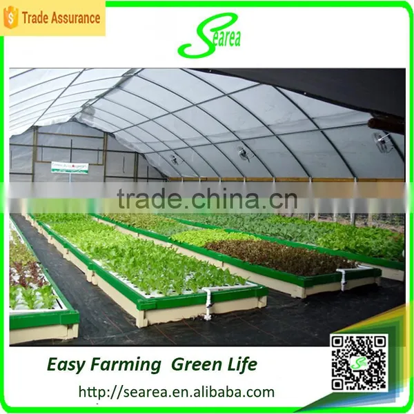 Single Span Aquaponic Greenhouse photo-6