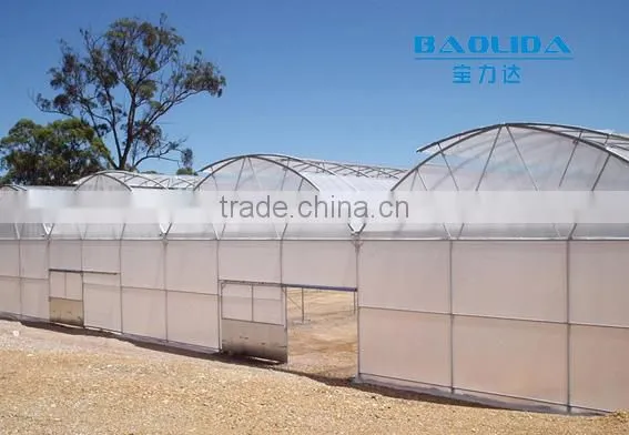 Multi-span pe Film Green House Tomato Green House Pepper Greenhouse photo-2