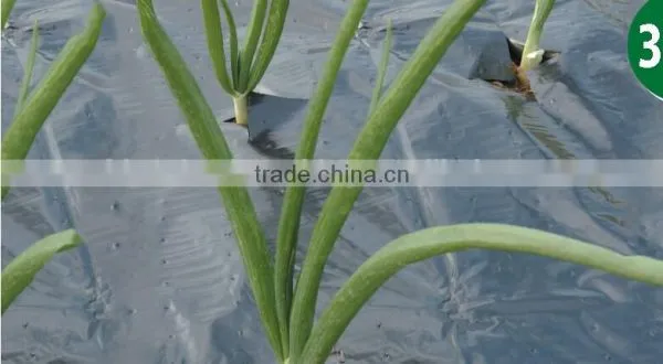 PE Agricultural Black Plastic Ground Cover photo-3