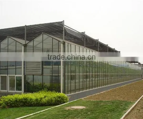 Commercial Greenhouse for Agriculture photo-6