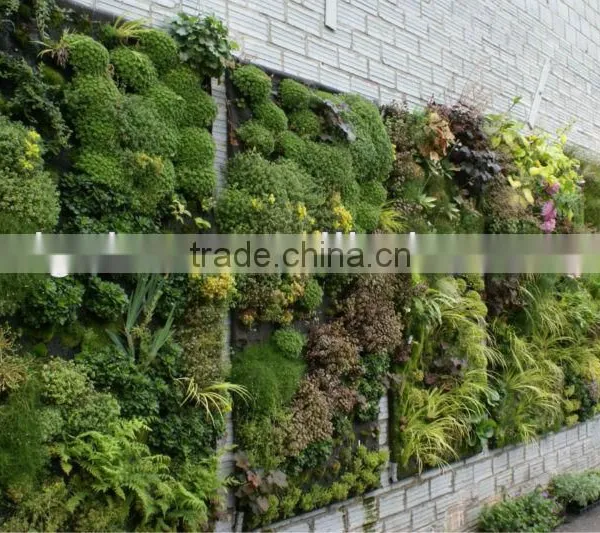 Besr Price Artificial Plant Wall Artificial Plastic Plant Artificial Vertical Grass Wall for Decor photo-4