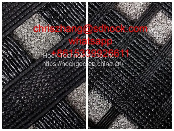 HOCK PET Geogrid photo-2