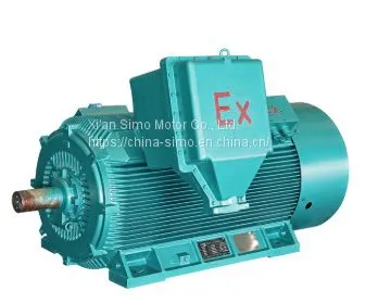 Yb2 6kv 10kv Atex High Voltage Explosion Proof Electric Motor for Mining