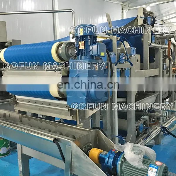 The Experienced Supplier for Industrial Fruit Juice Squeezing Extractor Manufactured in Shanghai Gofun photo-2