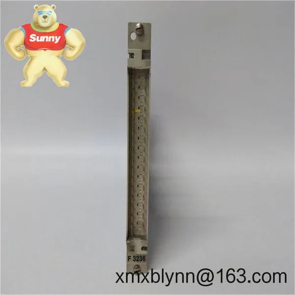 HIMA F6215 – High‑Precision 8‑Channel Analog Input Module for Safety‑Critical Monitoring photo-3