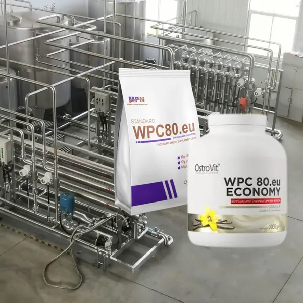 WPC80 Concentrated Whey Protein Powder Production Line Membrane Filtration Concentration Equipment photo-2