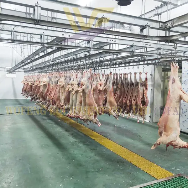 HACCP Standard Integrated Goat Slaughter Production Line Full Stainless Steel Processing Equipment With Adjustable Production Capacity photo-4