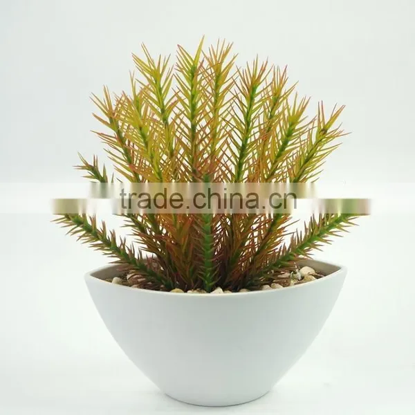 Wholesale Cheap Artificial Succulent Plants for Home Decoration photo-2