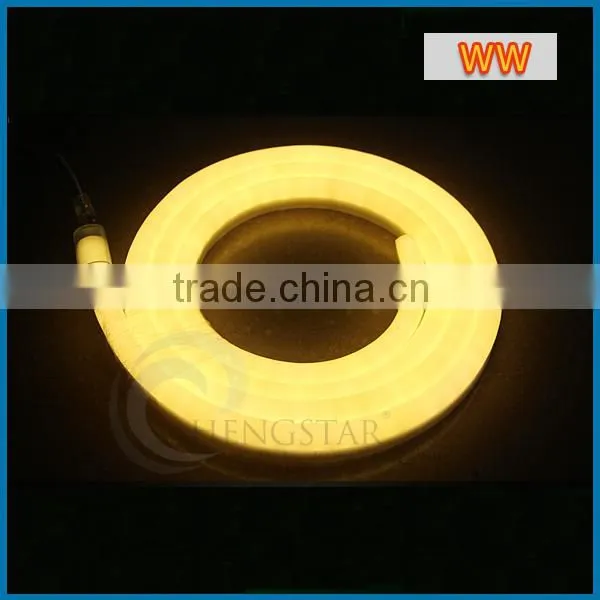 5M 300LEDs 24V 12V LED Neon Flex Digital Programmable Led Neon Flex Light photo-4