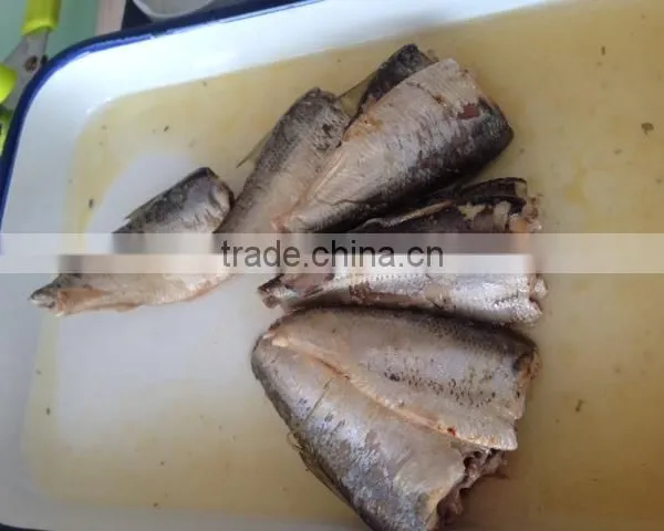 High Quality Canned Sardines in Brine photo-4
