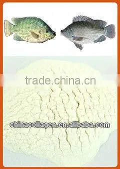 Food Grade Fish Scale Collagen