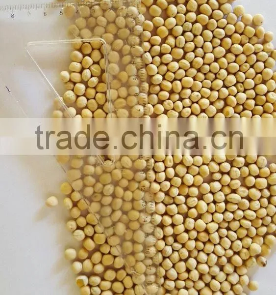 Yellow Split Peas