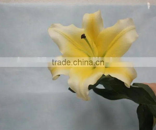 Most Popular Factory Direct Yellow Fresh Lilies photo-3